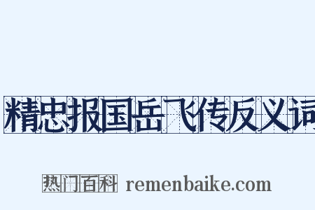 精忠报国岳飞传反义词是什么意思的图片